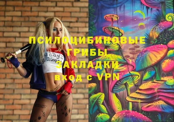 молекула духа Краснослободск