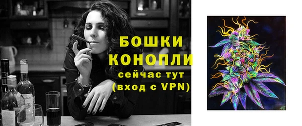 стаф Бронницы