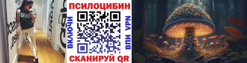 Псилоцибиновые грибы GOLDEN TEACHER  Горбатов 